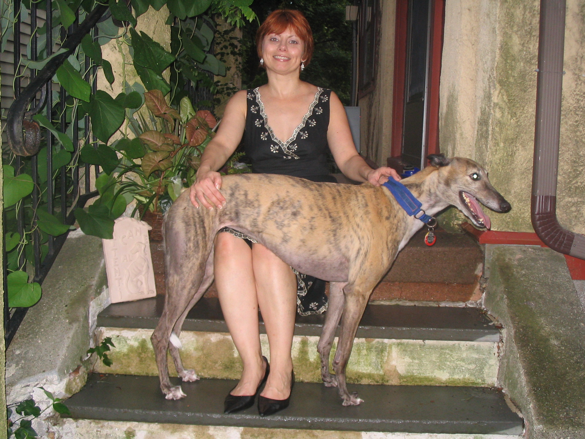 The author, Christine, with her greyhound Zoe