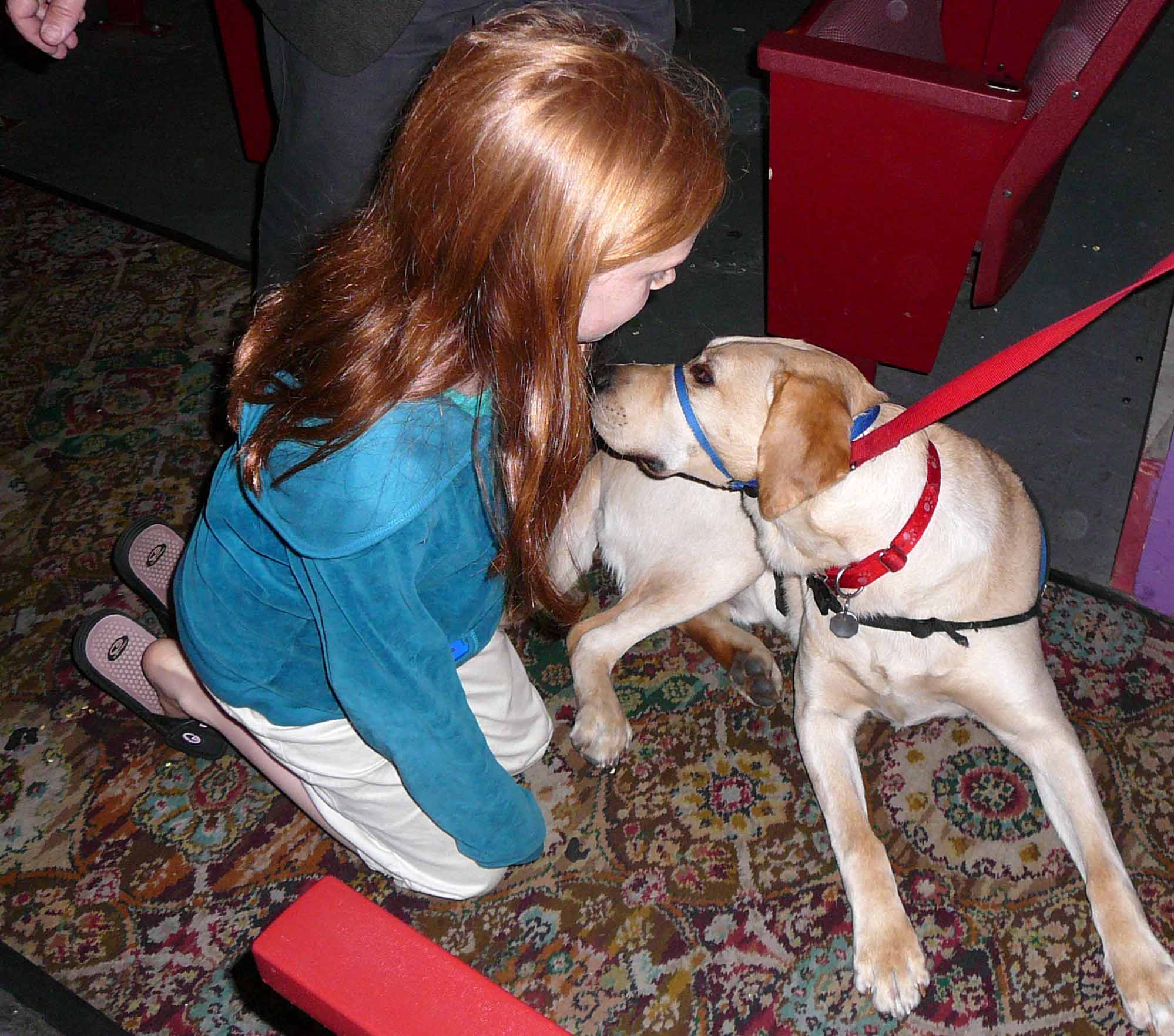 Julia Ruderman meets a NEADS service dog