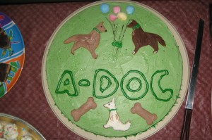 A-DOG Cake made by Roslyn Smith